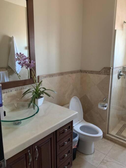 Access - Beach Penthouse Papas And Beer 2 Miles Wifi Rosarito Exteriör bild